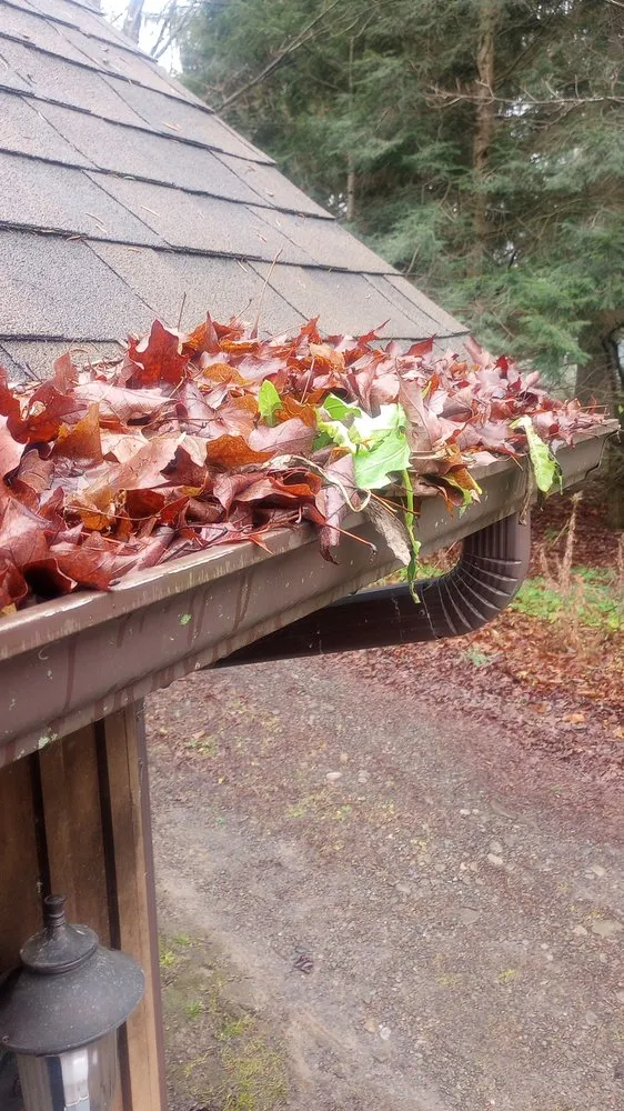 Trusted yard maintenance in Sherburne, NY by Bohndorf Turf Care and Service