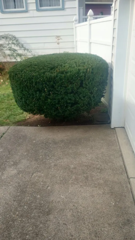 Top-rated residential landscaping for homes in Sherburne, NY by Bohndorf Turf Care and Service