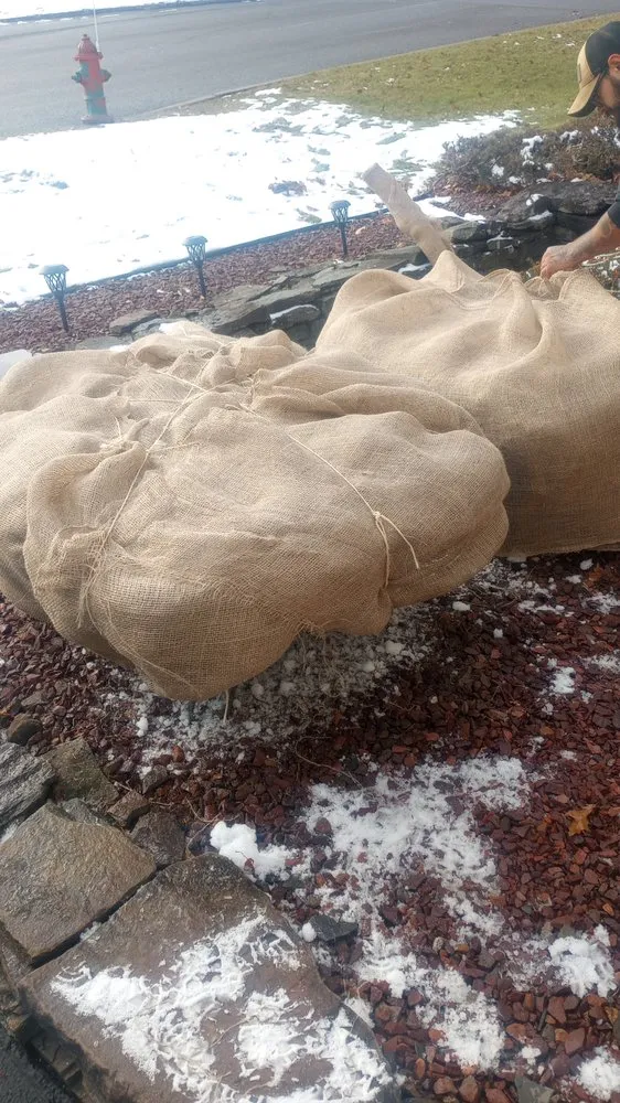 Local yard maintenance for residential properties in Sherburne, NY by Bohndorf Turf Care and Service