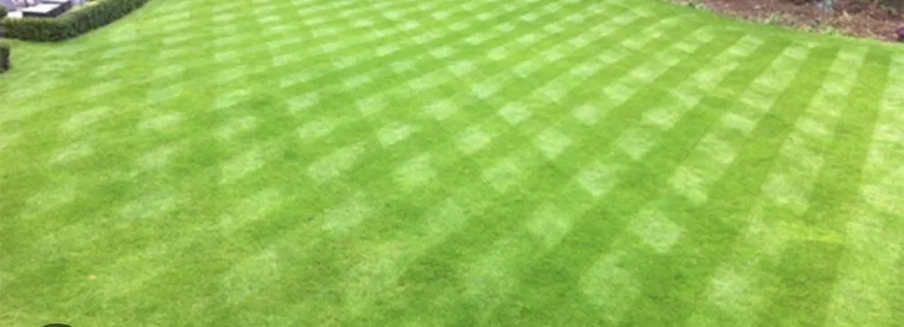 Custom lawn care service in Boiling Springs, SC - Boiling Springs Lawn Care And Maintenance