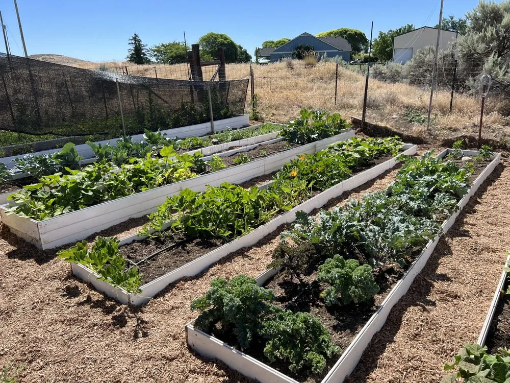 Reliable landscape design with custom design in Boise, ID by Boise Brothers Landscaping