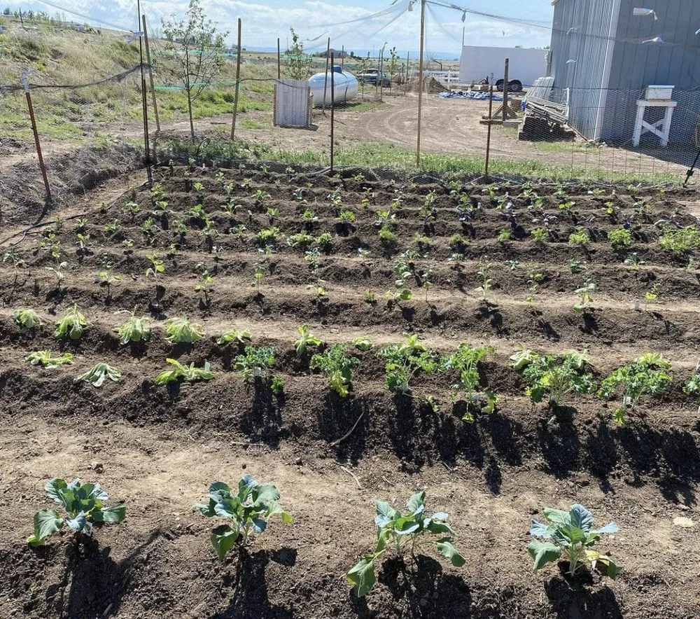 Affordable outdoor landscaping in Boise, ID - Boise Brothers Landscaping