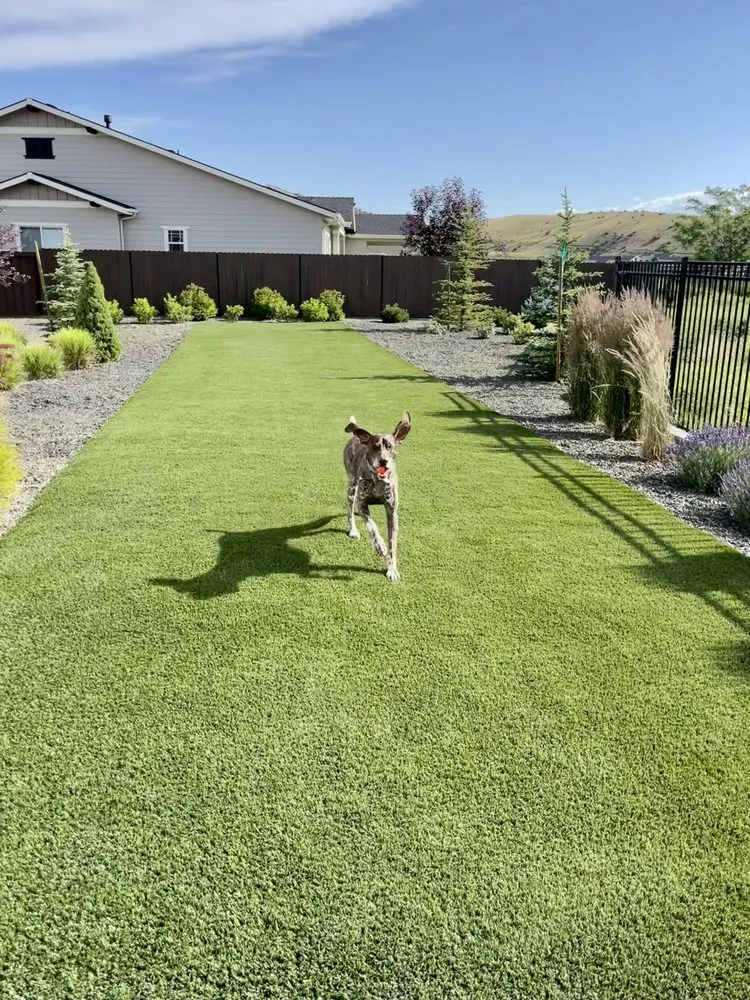 Local yard cleanup service in Boise, ID by Boise Brothers Landscaping