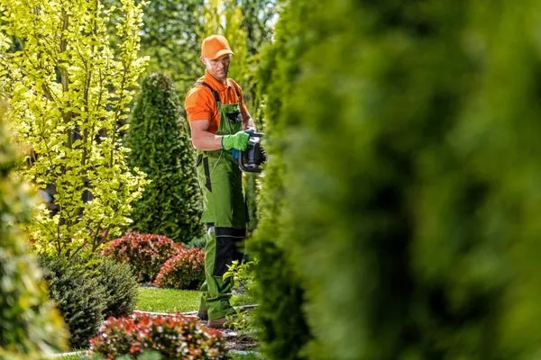 Boise Landscaping & Lawn Care Logo