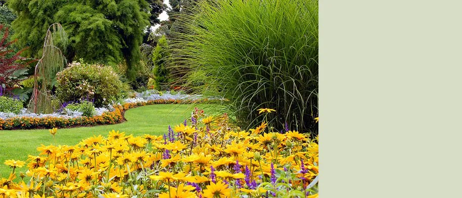 Expert landscape installation in Boise, ID by Boise Lawns Plus