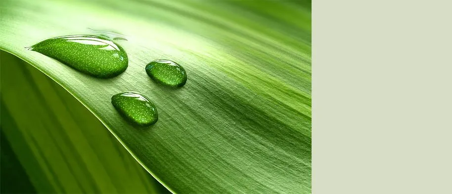 Local landscape design in Boise, ID - Boise Lawns Plus