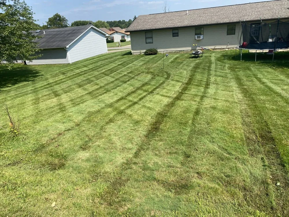 Top-rated yard maintenance in Boardman, OH - Bojadich LawnCare