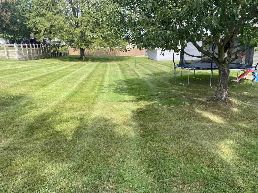 Top-rated lawn care service in Boardman, OH - Bojadich LawnCare