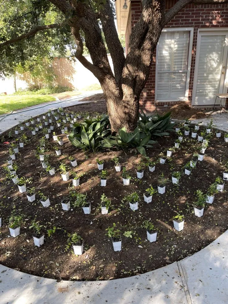 Reliable lawn mowing service in Midland, TX by Bojoh Landscapes Xteriors