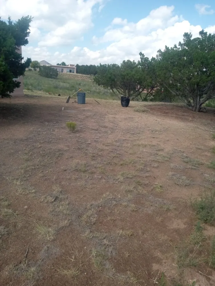 Top-rated yard cleanup service in Santa Fe, NM by Bojorquez Landscaping