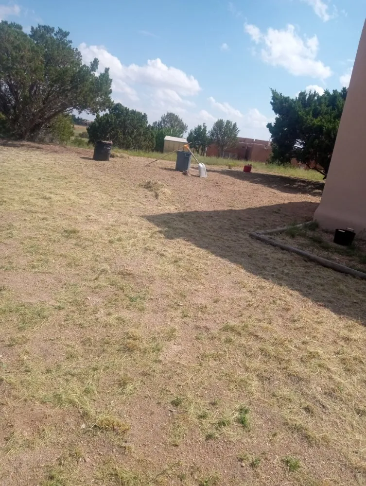 Professional yard cleanup service for homes in Santa Fe, NM by Bojorquez Landscaping