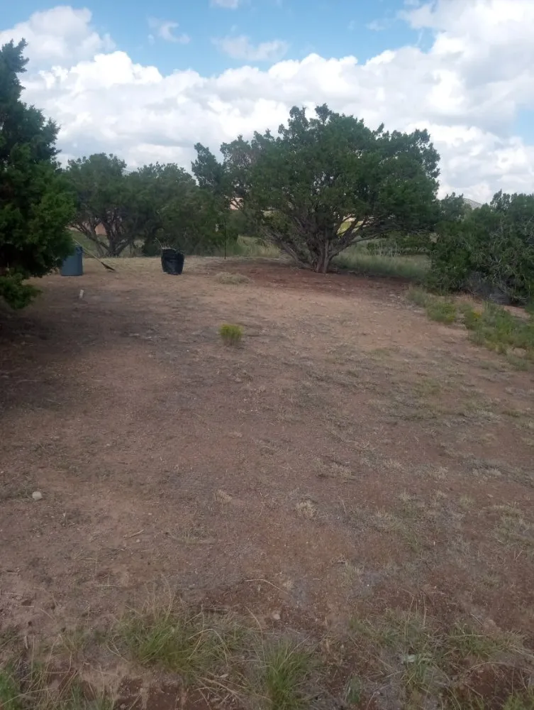 Affordable landscape installation with custom design across Santa Fe, NM - Bojorquez Landscaping