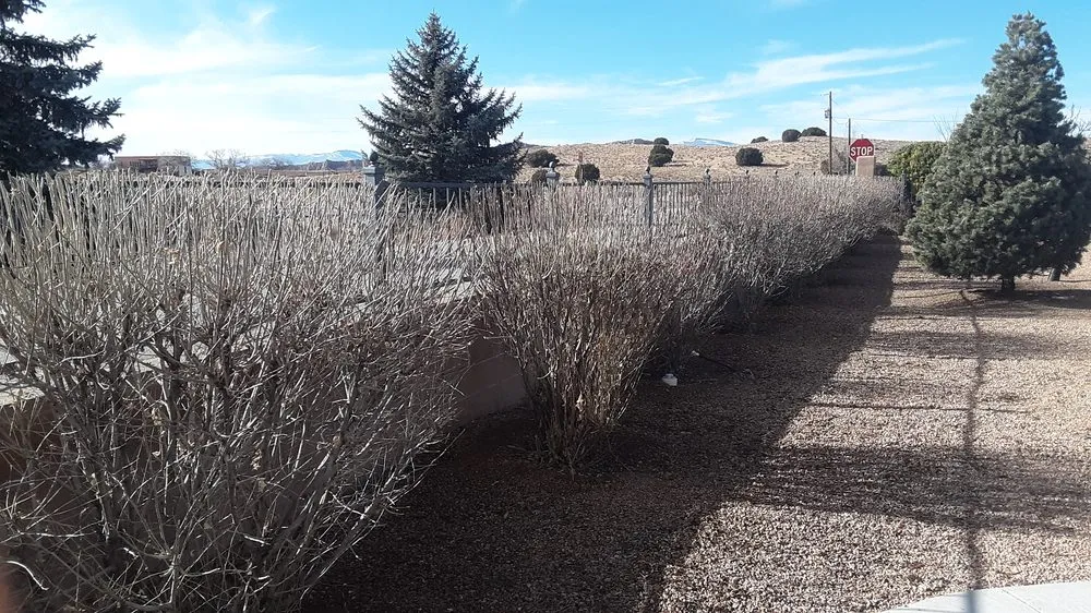 Trusted landscaping services in Santa Fe, NM by Bojorquez Landscaping