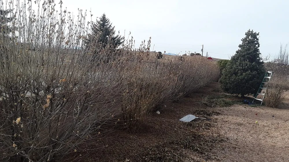 Reliable landscape installation in Santa Fe, NM by Bojorquez Landscaping