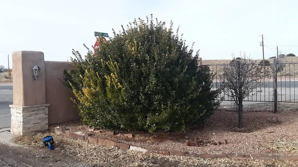 Custom yard maintenance in Santa Fe, NM - Bojorquez Landscaping