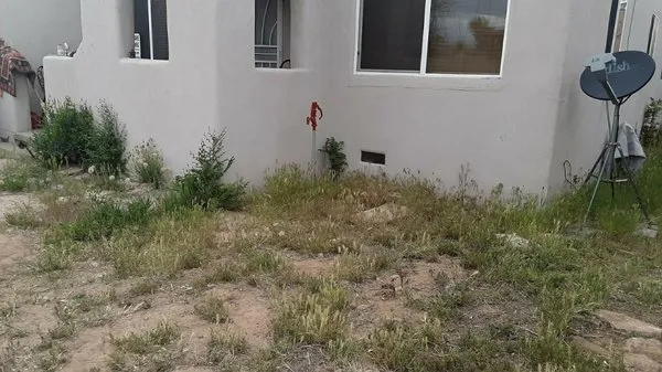 Bojorquez Landscaping Logo