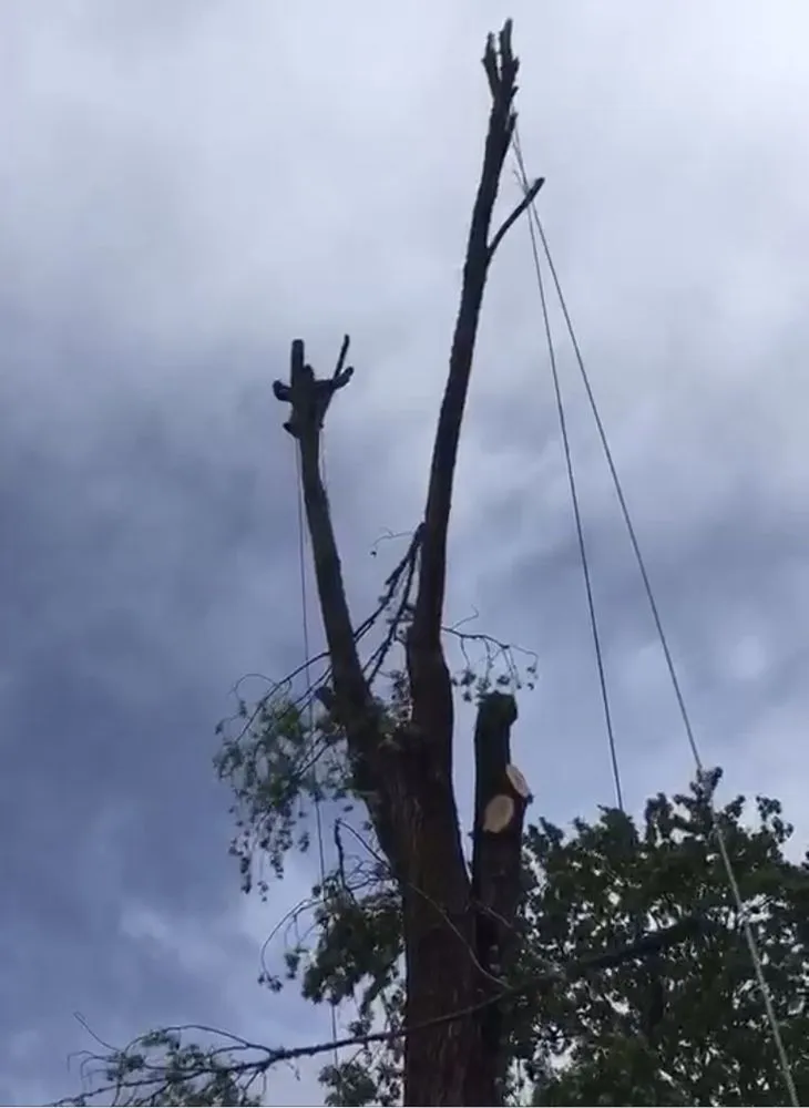 Custom yard cleanup service for outdoor upgrades in Fairview, OR by Bolanos General Construction