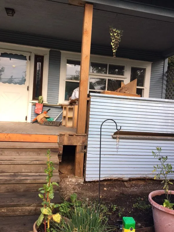 Top-rated yard cleanup service experts serving Fairview, OR - Bolanos General Construction