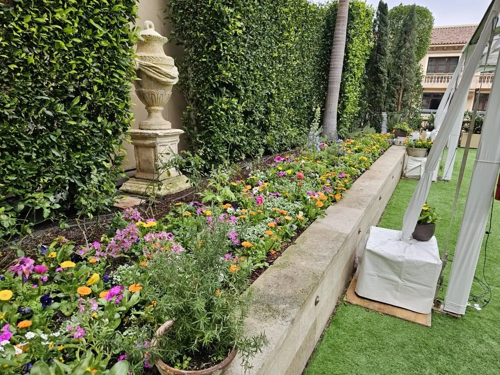 Professional outdoor landscaping experts serving Anaheim, CA - Bolanos Landscape
