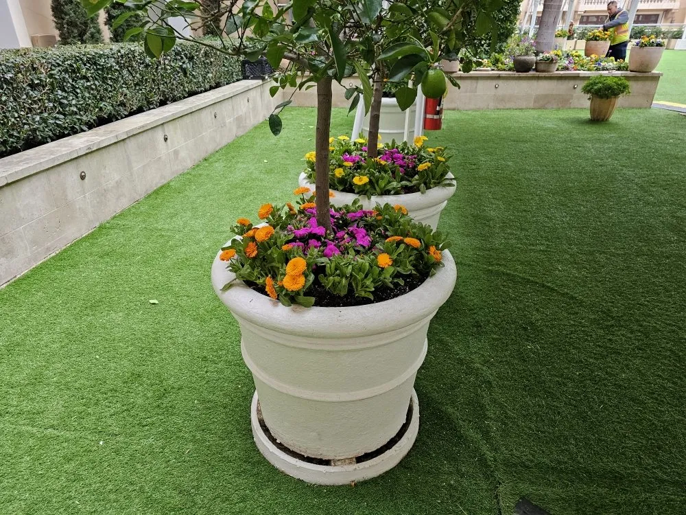 Local landscape design in Anaheim, CA by Bolanos Landscape