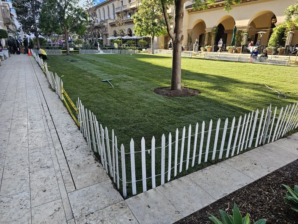 Affordable landscaping services in Anaheim, CA by Bolanos Landscape