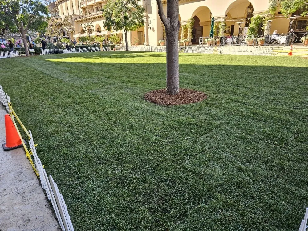 Affordable outdoor landscaping with custom design across Anaheim, CA - Bolanos Landscape