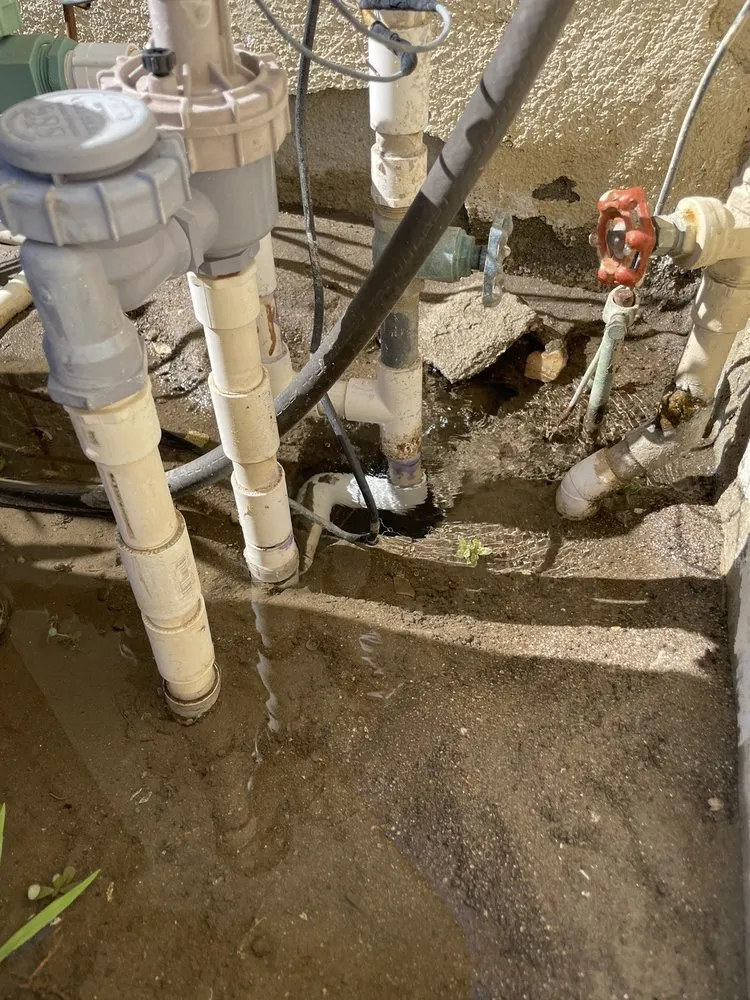 Professional landscape design experts serving Anaheim, CA - Bolanos Landscape