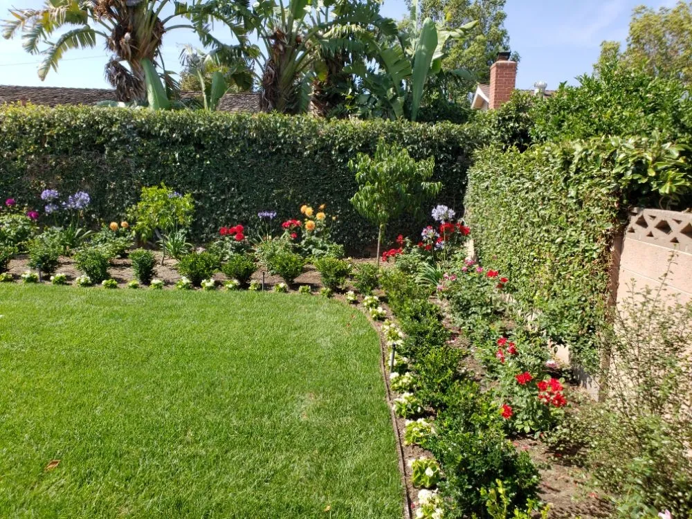 Local outdoor landscaping for beautiful yards in Anaheim, CA by Bolanos Landscape