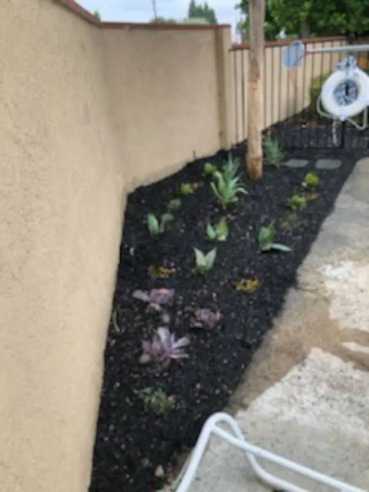 Top-rated landscape design experts serving Anaheim, CA - Bolanos Landscape