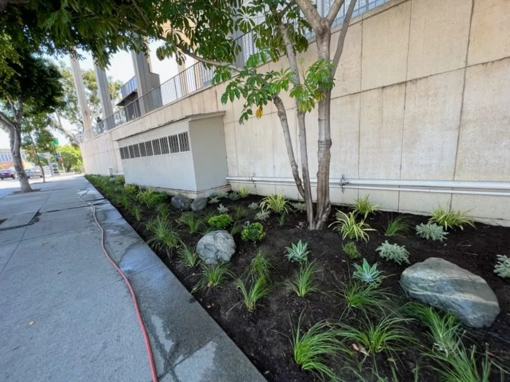 Trusted lawn mowing service experts serving Anaheim, CA - Bolanos Landscape