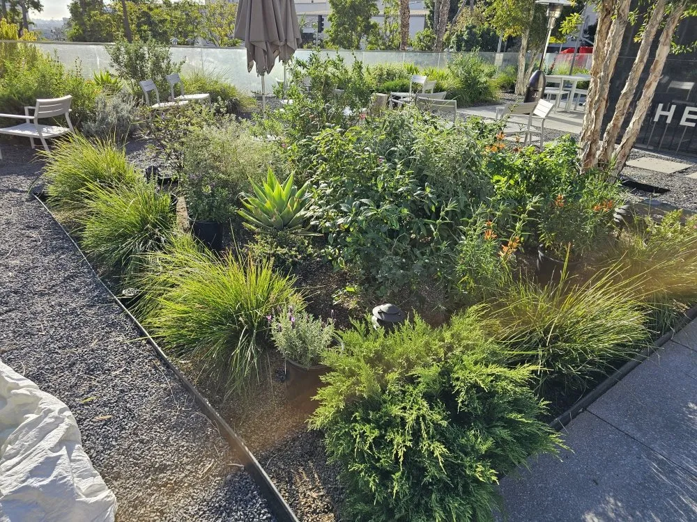Affordable landscape installation experts serving Anaheim, CA - Bolanos Landscape