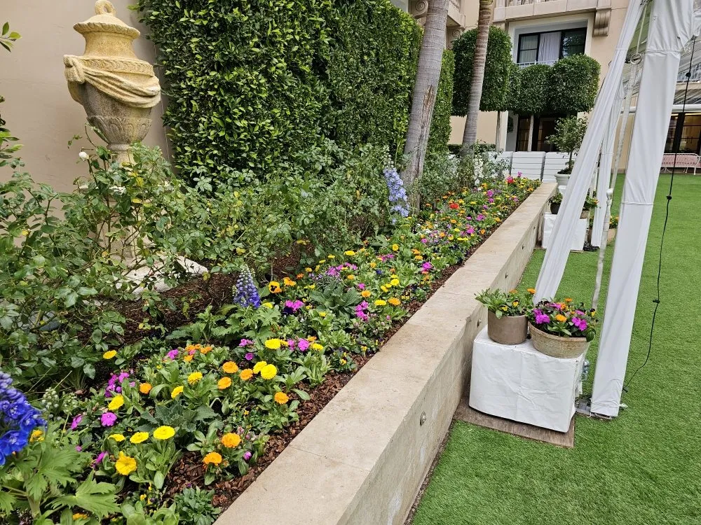 Affordable landscape installation experts serving Anaheim, CA - Bolanos Landscape