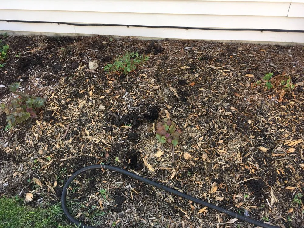 Top-rated yard maintenance for residential properties in Algonquin, IL by Bolanos Landscaping