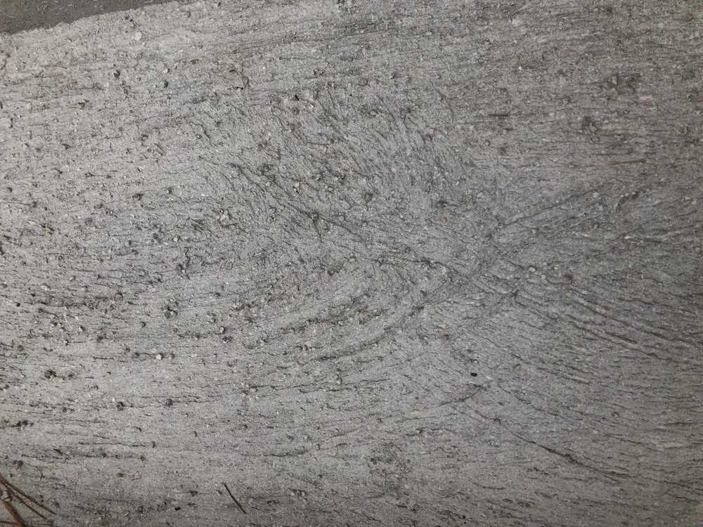 Local landscaping services in Algonquin, IL - Bolanos Landscaping