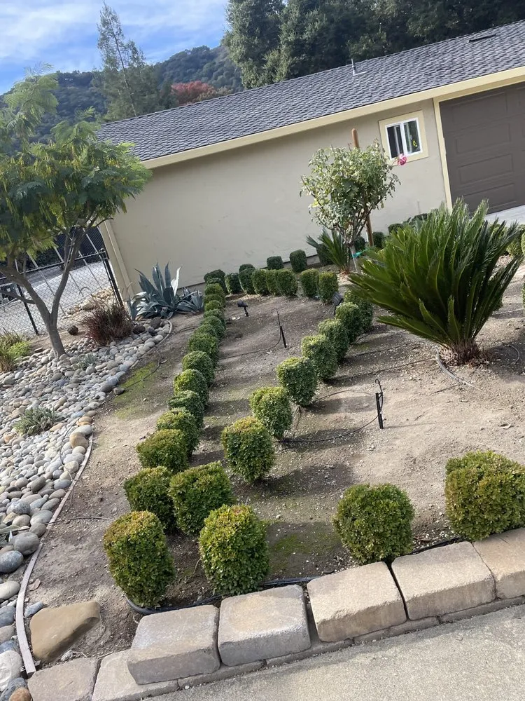 Custom landscaping services for beautiful yards in Gilroy, CA by Bolanos Lopez Lanscaping & Garden