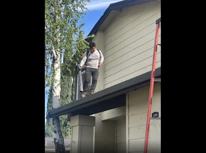 Affordable yard cleanup service with custom design across Gilroy, CA - Bolanos Lopez Lanscaping & Garden