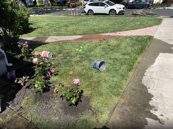 Affordable lawn mowing service for homes across Gilroy, CA - Bolanos Lopez Lanscaping & Garden