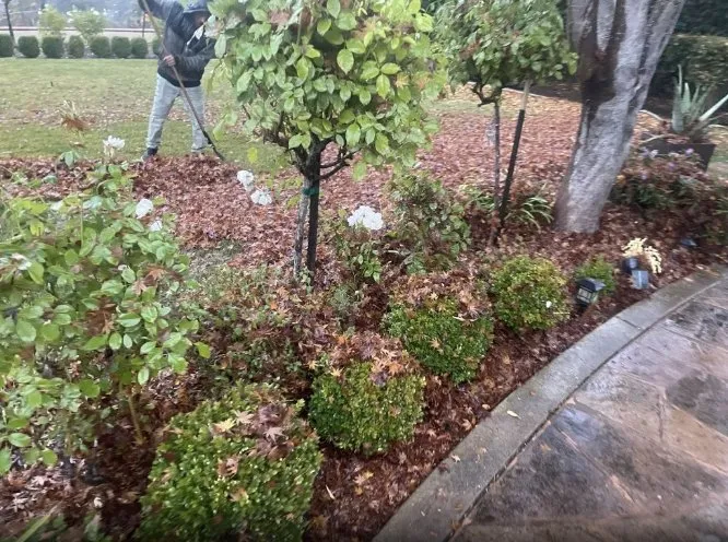 Top-rated landscape design near you across Gilroy, CA - Bolanos Lopez Lanscaping & Garden