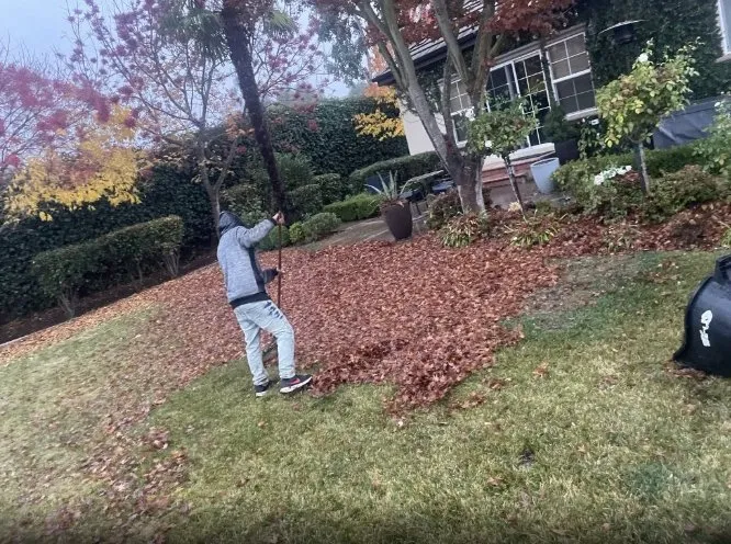 Custom lawn care service in Gilroy, CA - Bolanos Lopez Lanscaping & Garden