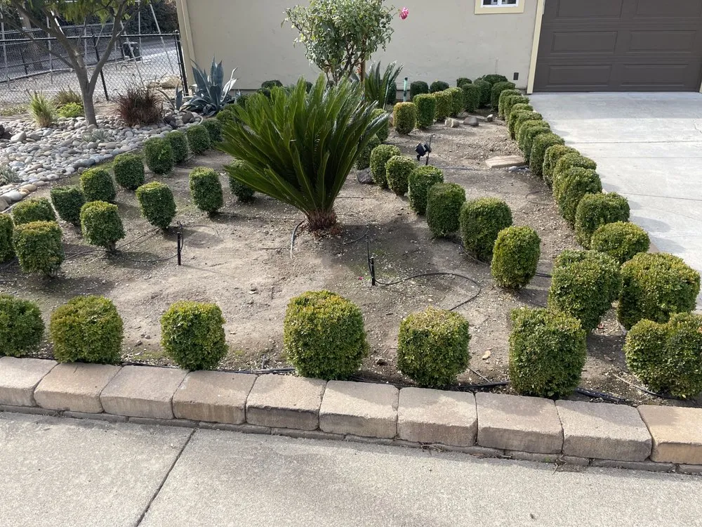 Trusted landscape installation in Gilroy, CA by Bolanos Lopez Lanscaping & Garden