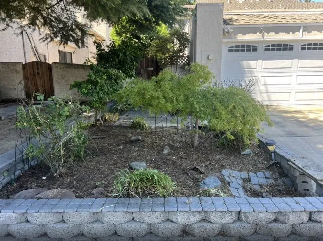 Custom lawn mowing service in Gilroy, CA by Bolanos Lopez Lanscaping & Garden