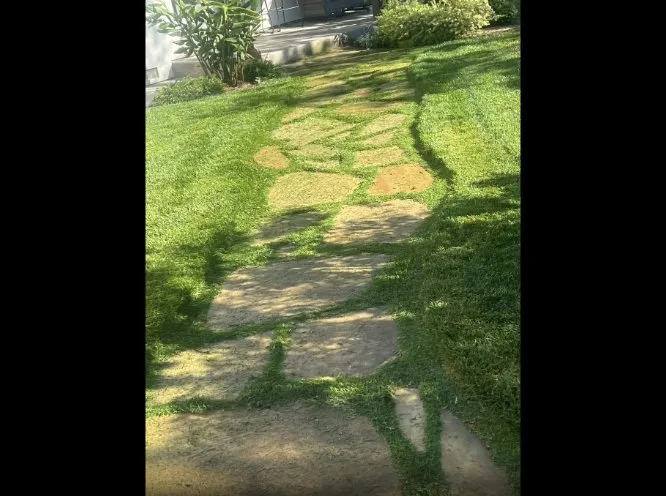 Local residential landscaping for year-round maintenance across Gilroy, CA - Bolanos Lopez Lanscaping & Garden