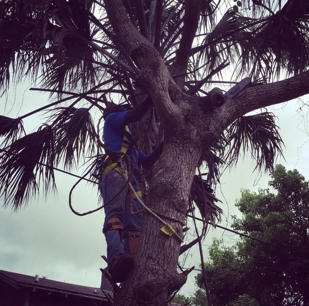 Top-rated outdoor landscaping in Jacksonville, FL by Bold City Green Works