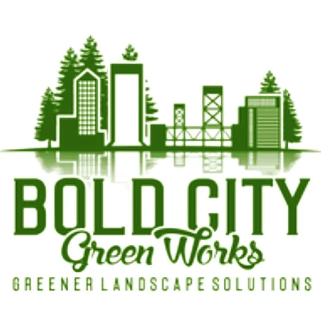 Custom yard cleanup service for outdoor upgrades across Jacksonville, FL - Bold City Green Works