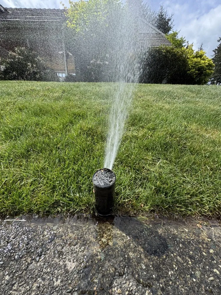 Affordable yard cleanup service in Lake Stevens, WA by Bold Landscaping