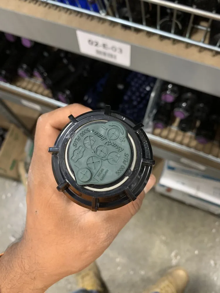 Reliable yard cleanup service with custom design in Lake Stevens, WA by Bold Landscaping