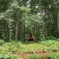 Top-rated landscape design experts serving Monroe, GA - Bold Springs Ventures