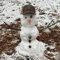 Professional lawn care service in Monroe, GA - Bold Springs Ventures