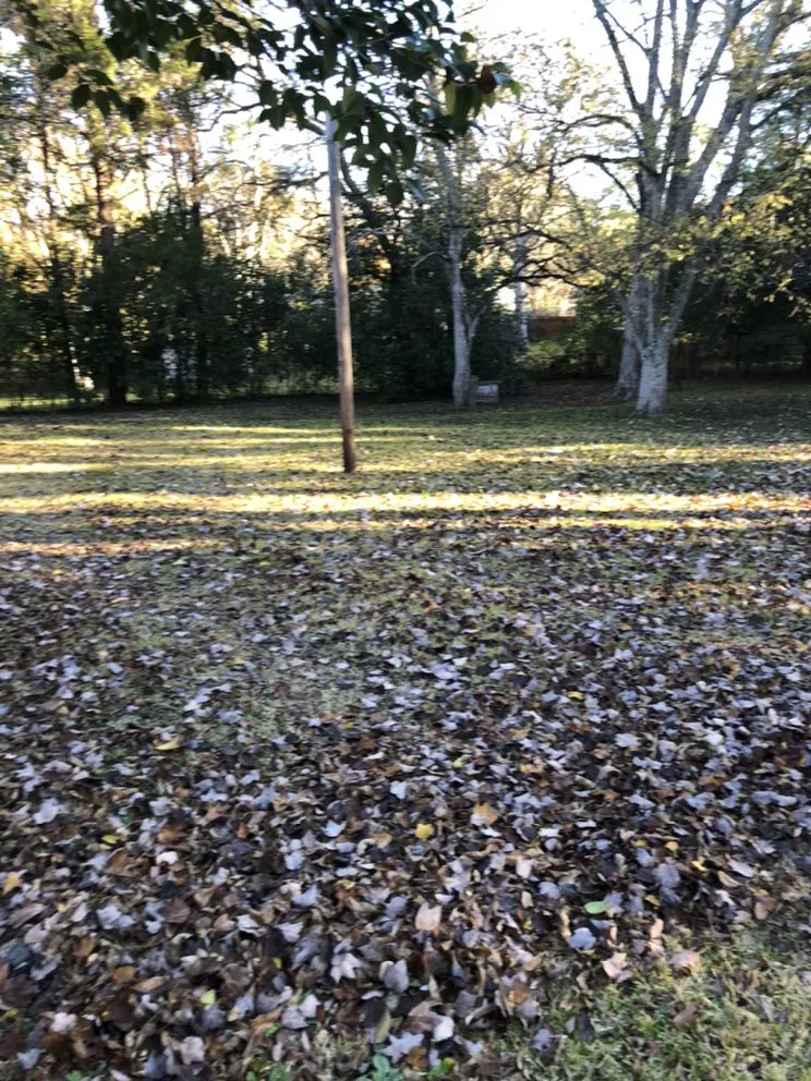 Professional landscape installation for residential properties across Selma, AL - Bolden Lawn And Cleaning Service