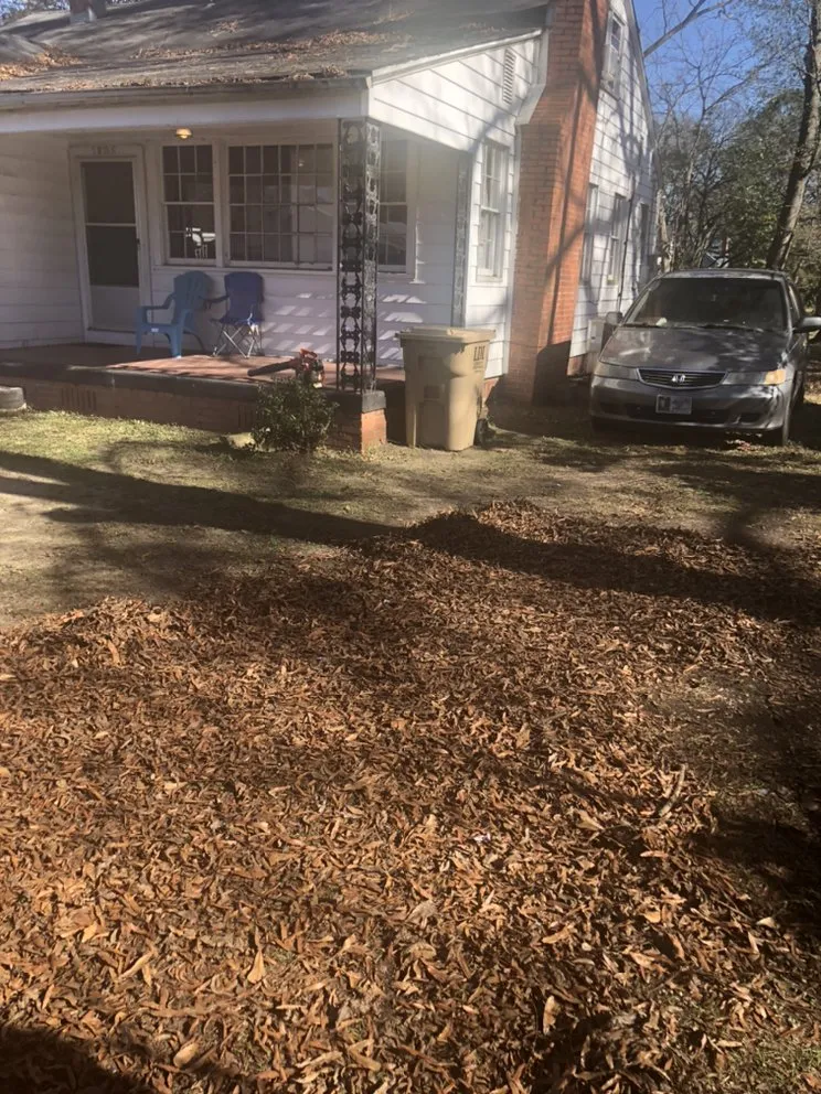 Professional landscaping services near you in Selma, AL by Bolden Lawn And Cleaning Service